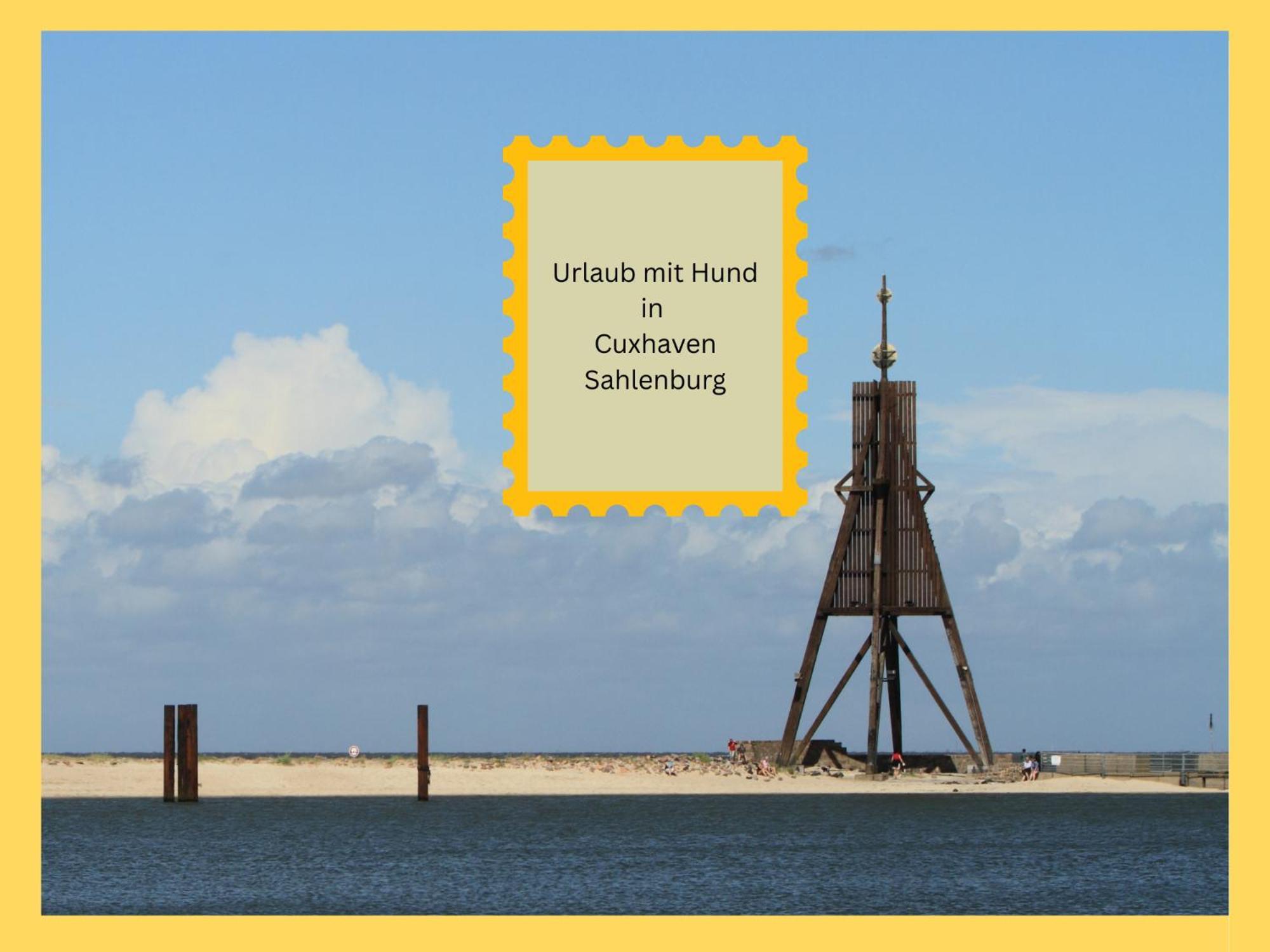 Strandloft Cuxhaven Im Haus Frauenpreiss Sahlenburg - Strandnah - 2 Hunde Willkommen -Schwimmbad - Sauna - Direkt Am Wald - Dachterrasse Mit Blick Nach Neuwerk Exterior foto